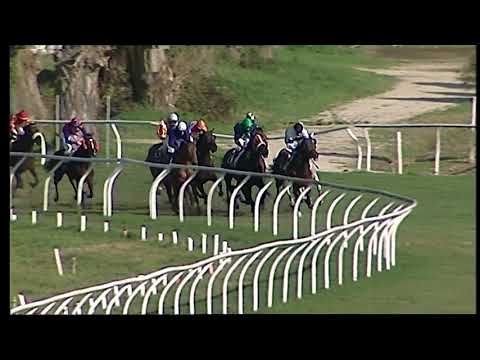 Galoppo 30/01/2021 - 3ª corsa