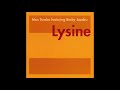 Max Tundra - Lysine
