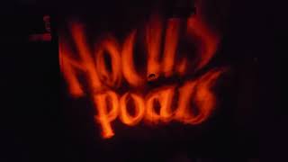 Hocus Pocus Projector  - Halloween Haul 2022