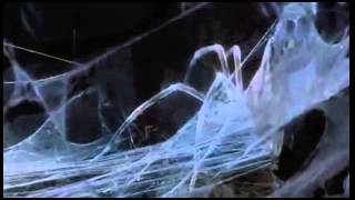 CEMETARY-The Serpent's Kiss - video fan