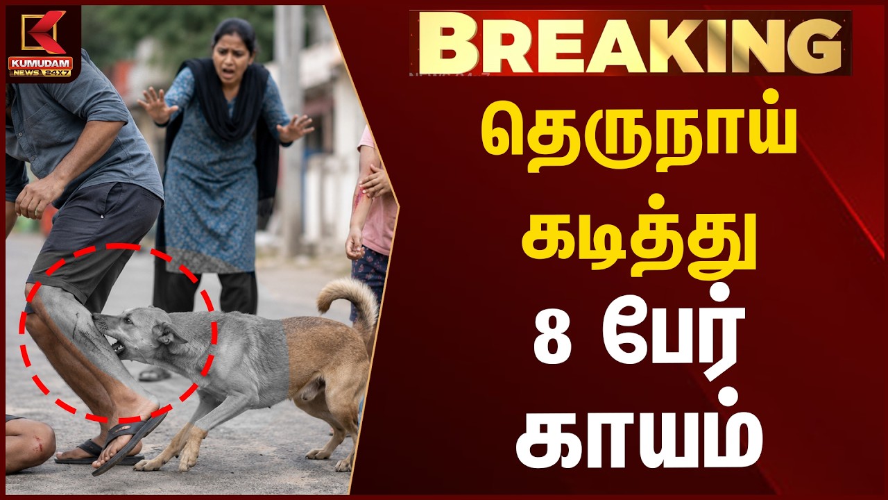 தெருநாய் கடித்து 8 பேர் காயம் | Street dog | Kumudam News