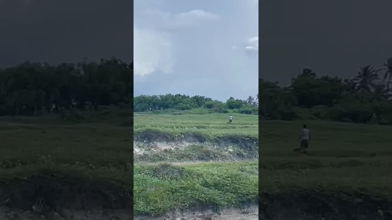 Polly video