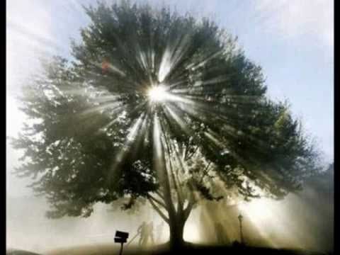 Com a minha voz clamo ao Senhor