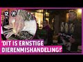 Dierenactivisten blokkeren restaurants om foie gras!