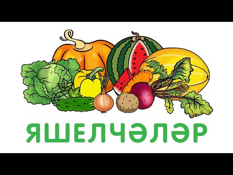 «Бәби сүз» - Яшелчәләр / Овощи / Видео для детей