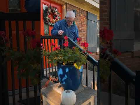 Aluminum Regal Railing Upgrade