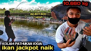 Download lagu JACKPOT 42JUTA NAIK PREN!!! GALATAMA MASTER BAWAL PATHUKAN UMPAN RERESPO mp3 Download lagu JACKPOT 42JUTA NAIK PREN!!! GALATAMA MASTER BAWAL PATHUKAN UMPAN RERESPO mp3