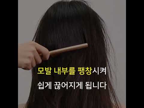 동영상 보기
