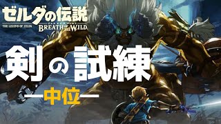 【ゼルダの伝説BotW】＃2 剣の試練やっていくよ～！【DLC第1弾】【女性実況】