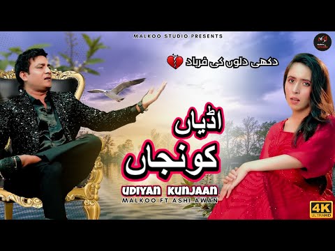 Udiyan Kunjan | Malkoo Ft Ashi Awan | Offical Video | Punjabi Song | Malkoo Studio | 2023