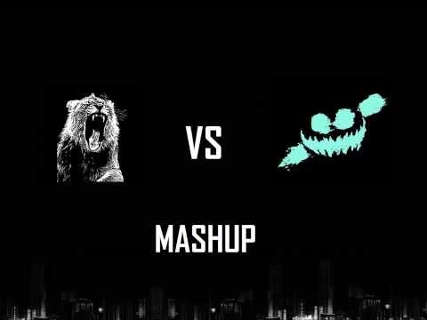 Martin Garrix vs Knife Party - ANIMALS LRAD (mashup Qeebyn )