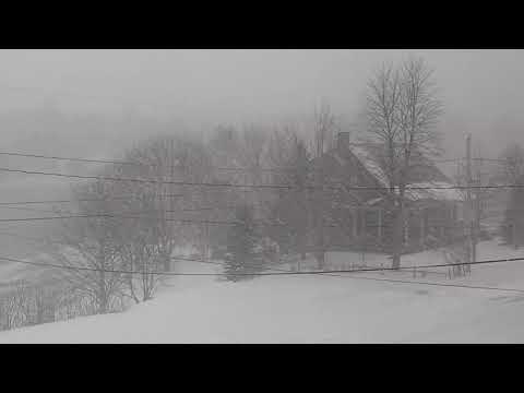 Heavy Snowfall mixed with ice pellets - P1