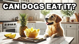 Can Dogs Eat Pineapple Explained