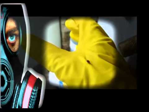 TRATAMIENTO PARA EXTERMINAR CHINCHES DE CAMA