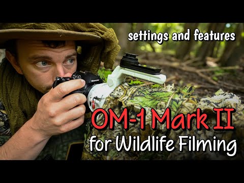 OM-1 Mark II for video | Wildlife filming | camera settings and features