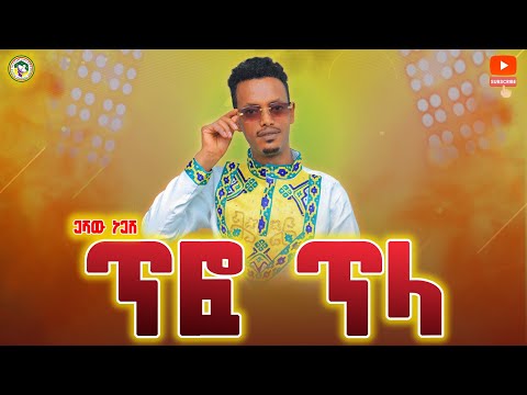 ጥፎ ጥላ  አርቲስት ጋሻው ነጋሽ