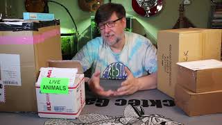 Aquashopper Mailbag April 2021