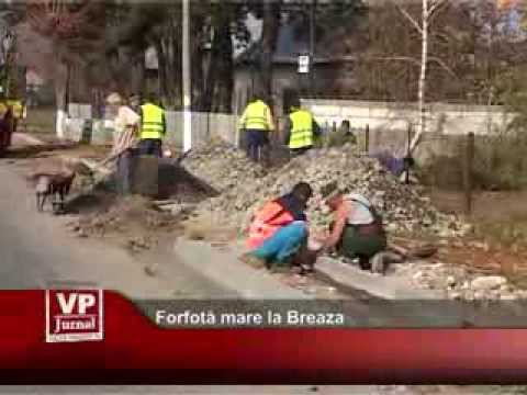 Forfotă mare la Breaza