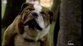 Those who guessed "this is a clip from a current CBS show" were close.