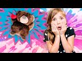 Evil Bear tricks Stella!!!