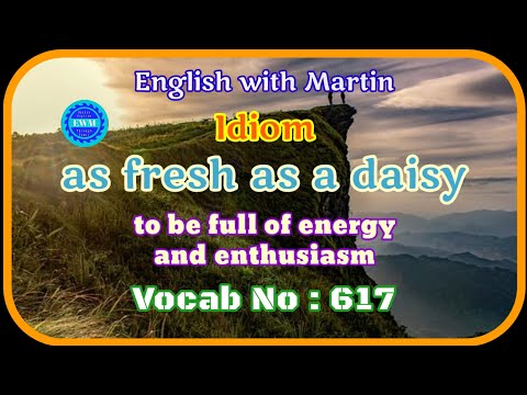 as fresh as a daisy meaning & sentences | English vocabulary | English with Martin | EWM #617
