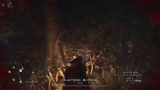 スフィンクスとやらが居るらしいドラゴンズドグマ２(実況)PS5配信＃１０