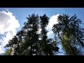 Nature trails  (Adapted to the original by Rick Wakeman) - Buffon