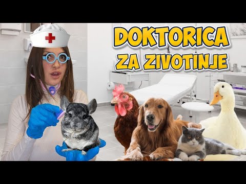 POSTALA SAM VETERINAR NA 24H