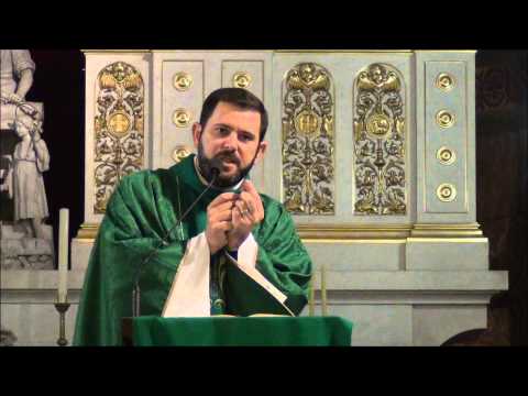 Homilia Ks. Carlosa 2.03.2014 - VIII NIEDZIELA ZWYKŁA A