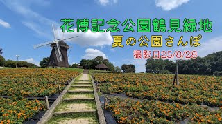 【花博記念公園鶴見緑地】［夏の公園さんぽ］懐かしの鶴見緑地へ。#癒し #flowers #風景 #自然 #公園