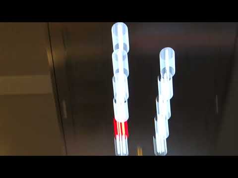 Nine floor Gen2s! Otis Gen2 MRL Traction elevators at Queen Victoria Building, Sydney, NSW