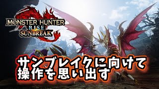 モンハンライズの操作を思い出す