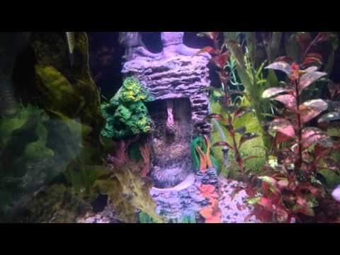 Fish Tank Bubbler - Sand Waterfall