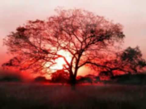 New afghani song, Masud Mashal Imshab ba qisa-e-