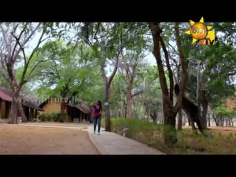Hiru TV