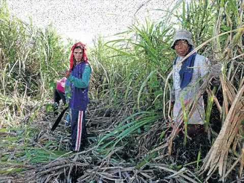 pagbawi - 5 year plan