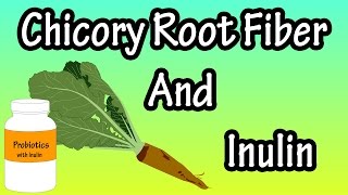 What Is Chicory Root Fiber?....What Is Inulin?