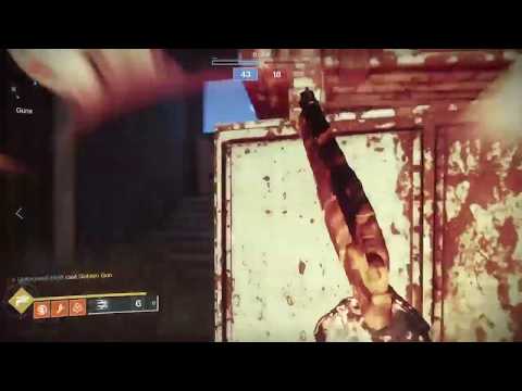 Destiny 2| Golden Gun Team Kill