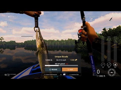 FishingPlanet_top water popper bicuda amozon maze