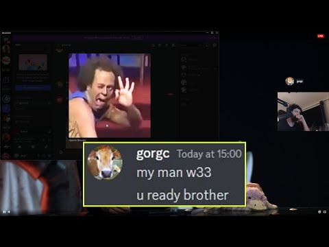Gorgc asks w33 if he's ready for Div 2 action