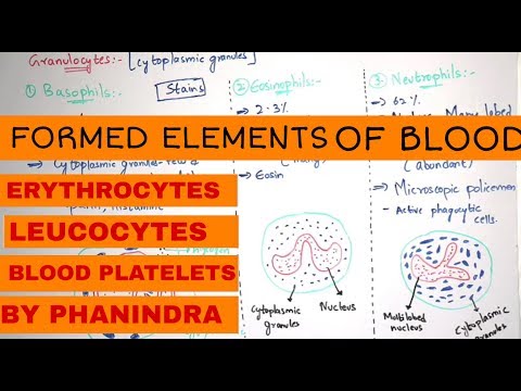 Inter 2nd year SYNAPTIC TRANSMISSION ZOOLOGY