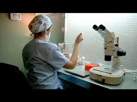 comment augmenter les spermatozoides chez l'homme