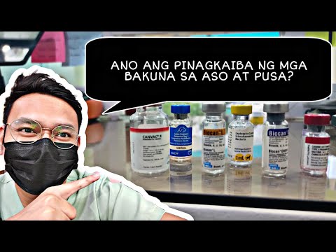 WHAT'S THE DIFFERENCES BETWEEN 5in1, 6in1, 8in1 VACCINE ETC.