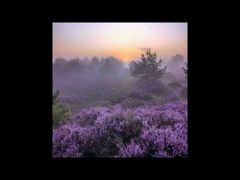 [FREE] irko + femtogo type beat - "reset" (p. 6min)