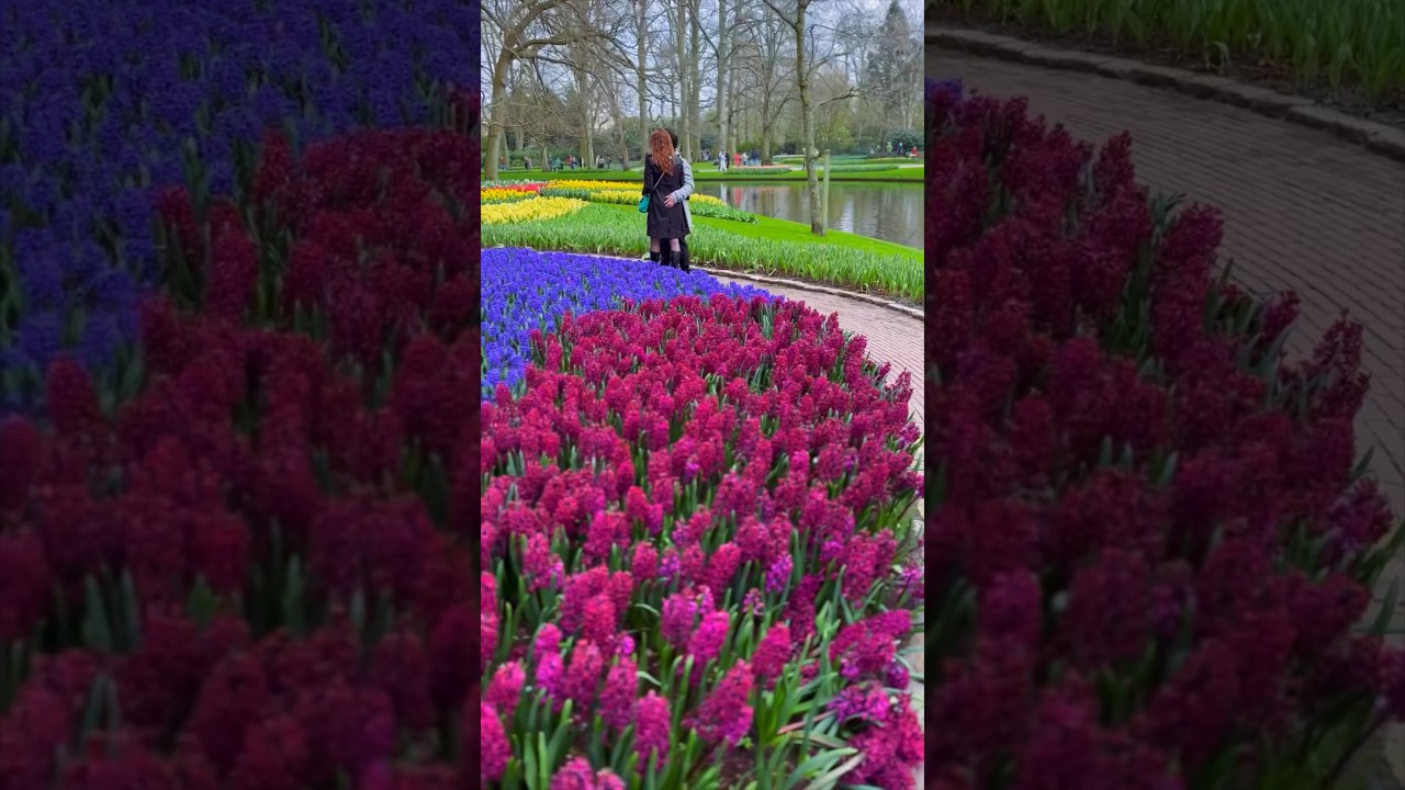 YouTube Short thumbnail