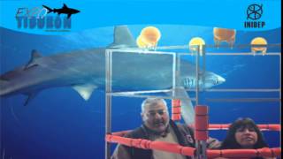 DIA 2 Expo Tiburon307