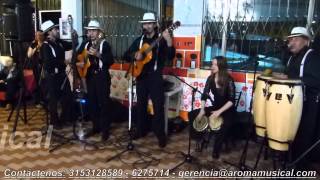 Video de Aroma Musical