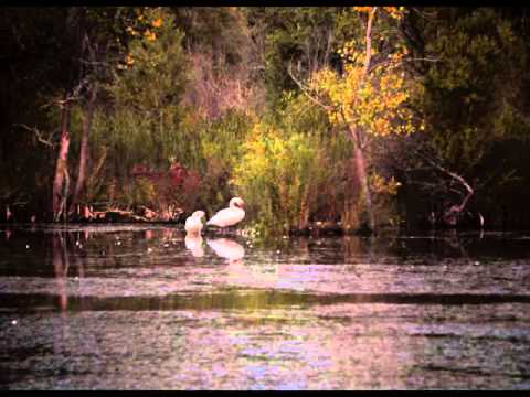 Relax to the Bible - Psalm 39