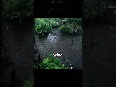 Challenge na TikToka skończył się tragedią! 😱