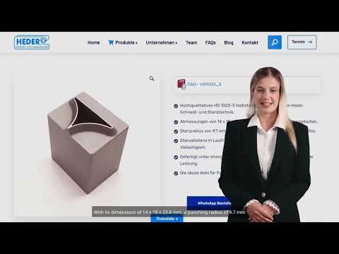 🔧 HS 1003-3 Half-Star Punch Knife – Unmatched Precision for Your Production!